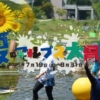 Thumbnail of new posts 154