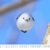 Thumbnail of new posts 064