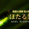Thumbnail of new posts 061