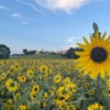 Thumbnail of new posts 102
