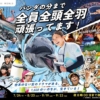 Thumbnail of new posts 002